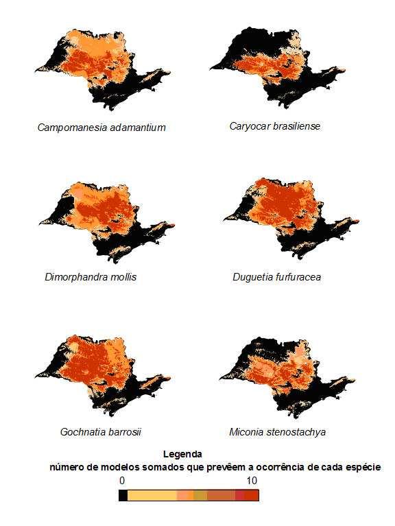 Figura 17B: Distribuição potencial de espécies de cerrado no Estado de São