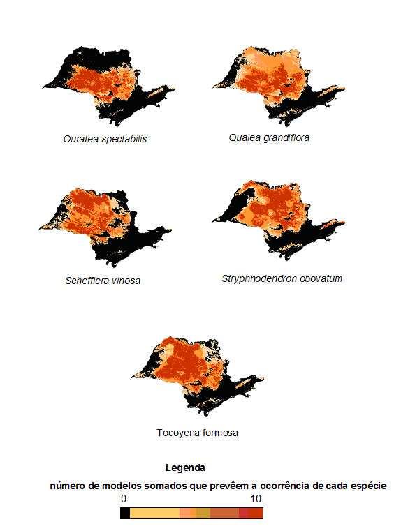 Figura 17C: Distribuição potencial de espécies de cerrado no Estado de São Paulo, obtida a partir da soma dos 10 melhores modelos entre 100 gerados pelo GARP.