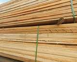 de madeira de reflorestamento