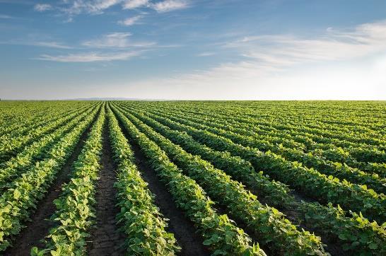 Apresentamos um novo banco de dados Uso do solo agrícola