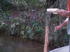 Em seguida, os peixes foram colocados em bombonas de 50L, imersos em solução de formol a 10% para fixação e preservação. 3.2.