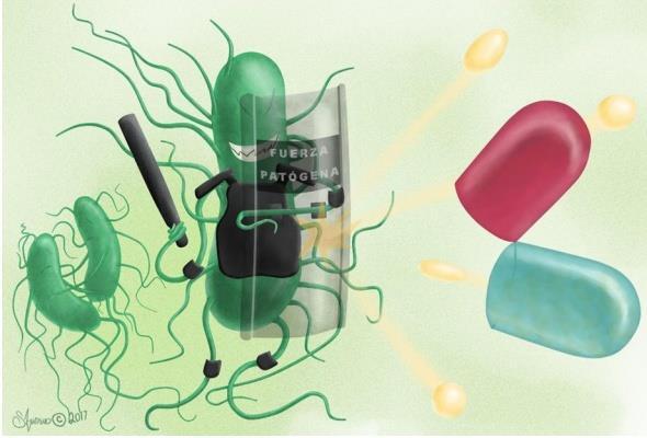 Factos Crescente aumento da taxa de microorganismos resistentes a antibióticos MRSA Multidrug-resistant Gramnegative (MDRGN)