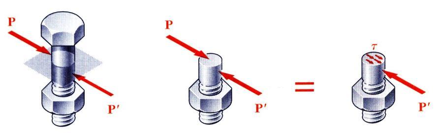 plano secionado perpendicular ao eio do membro.