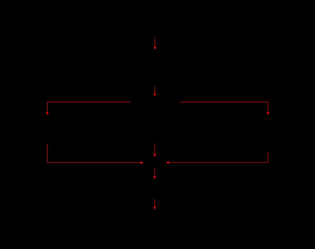 Figura 23: Diagrama esquemático da metodologia utilizada na análise da saturação de MgO.