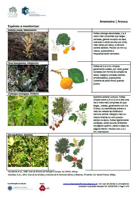 metodologia de monitorização Identificaram-se em cada município as parcelas de plantação intervencionadas nas campanhas 2011/12 e 2012/13 nas quais fosse conhecido com exatidão o número total de