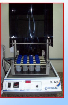 250 ml: maior dose oral do medicamento