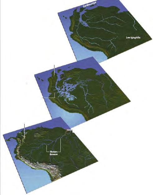 Origem da drenagem moderna: (Hoorn, 1995) Mioceno: incursões marinhas no oeste Conexão com o mar pelo oeste