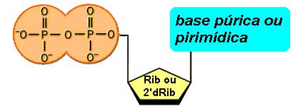 fosfotransferência (cínases), (2) de hidrólise (fosfátases) ou A conversão dos