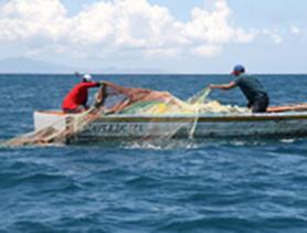 CONCLUSÃO Estes, minhas Senhores e meus Senhores, Constituem o nosso engajamento e o novo paradigma tendo em vista a sustentabilidade da exploração dos recursos do Oceano que Cabo Verde, enquanto