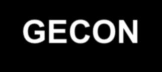 Modelo de Gestão Econômica - GECON GECON = SISTEMA DE GESTÃO ECONÔMICA É um modelo gerencial