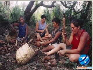 Principais conceitos contidos no PL 7735, de 2014 Comunidade Tradicional: grupo culturalmente diferenciado, que se reconhece como tal, possui forma