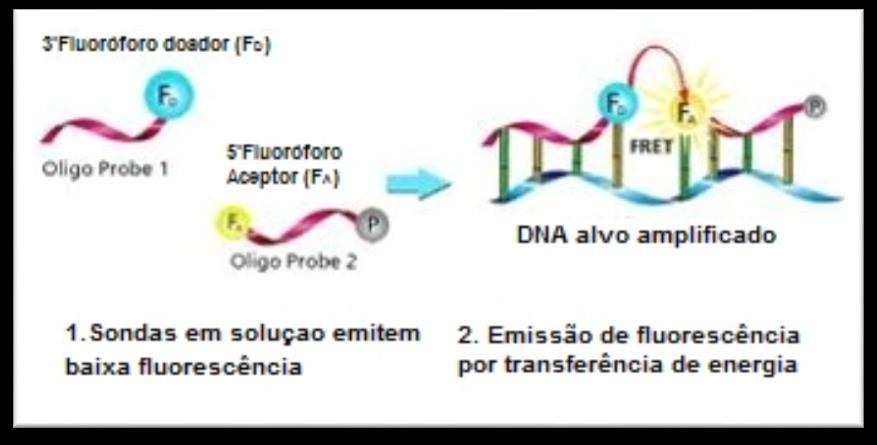 36 Neste método, sondas ligadas a duas moléculas fluorescentes diferentes, se hibridizam próximas uma da outra na molécula alvo de DNA.