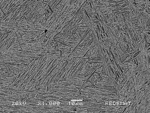 Figura 5.7. Imagem da microestrutura obtida por microscopia eletrônica de varredura com aumento de 1X da amostra com microestrutura martensítica.