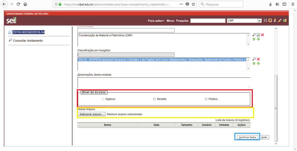 1.10 Preencher o Nível de Acesso (Público), Anexar o Arquivo que