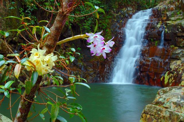 Texto descritivo É o texto do objeto - da impressão física, da imagem, da cor, do aroma, da beleza, da feiura, do relevo, da paisagem, da precisão quanto aos aspectos