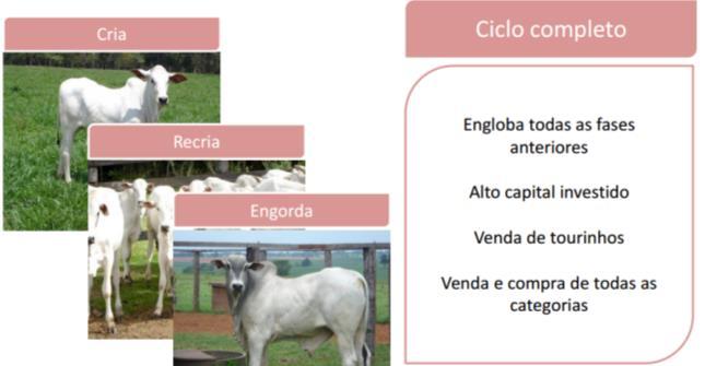 Características de produção por região Nordeste Nível