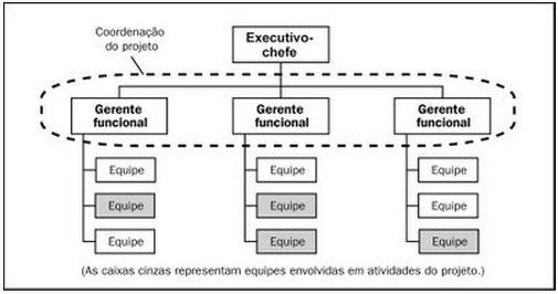 12 Estrutura Funcional (Fígura 1) Organização por projetos ou projetizada A figura 2 abaixo, temos uma