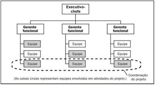 14 Estrutura Matricial ou Mista (Fígura 3) Projetos e Ciclo de Vida...Projeto é um esforço temporário empreendido para criar um produto, serviço ou resultado exclusivo.