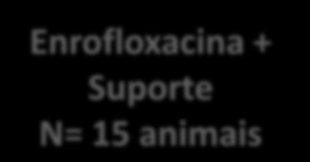 Avaliados 2 x por semana 1 d 40 d Enrofloxacina