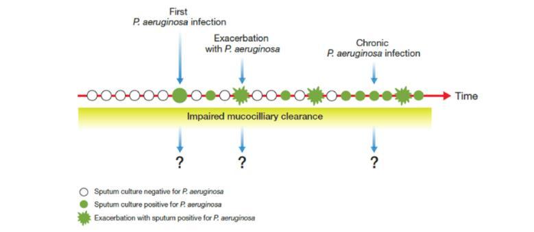 R. Wilson et al.