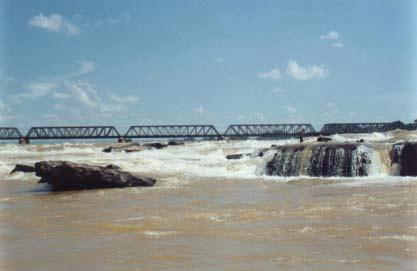 Figura 1- Vista parcial do rio São