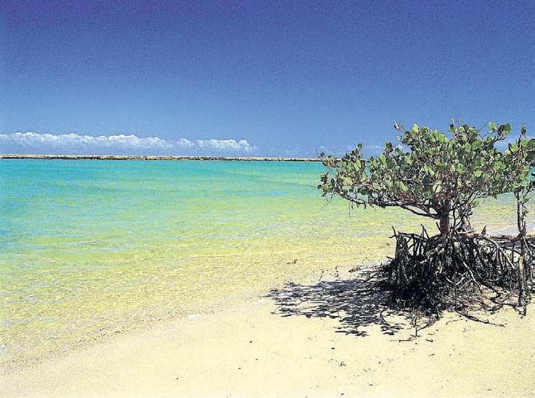 Turismo Artesanato e compras BAURU, QUINTA-FEIRA, 15 DE DEZEMBRO DE 2011- PÁGINA 3 Ipanema e Leblon Até o momento, os bairros mais procurados foram Ipanema/ Leblon (97,67), seguidos por Centro e