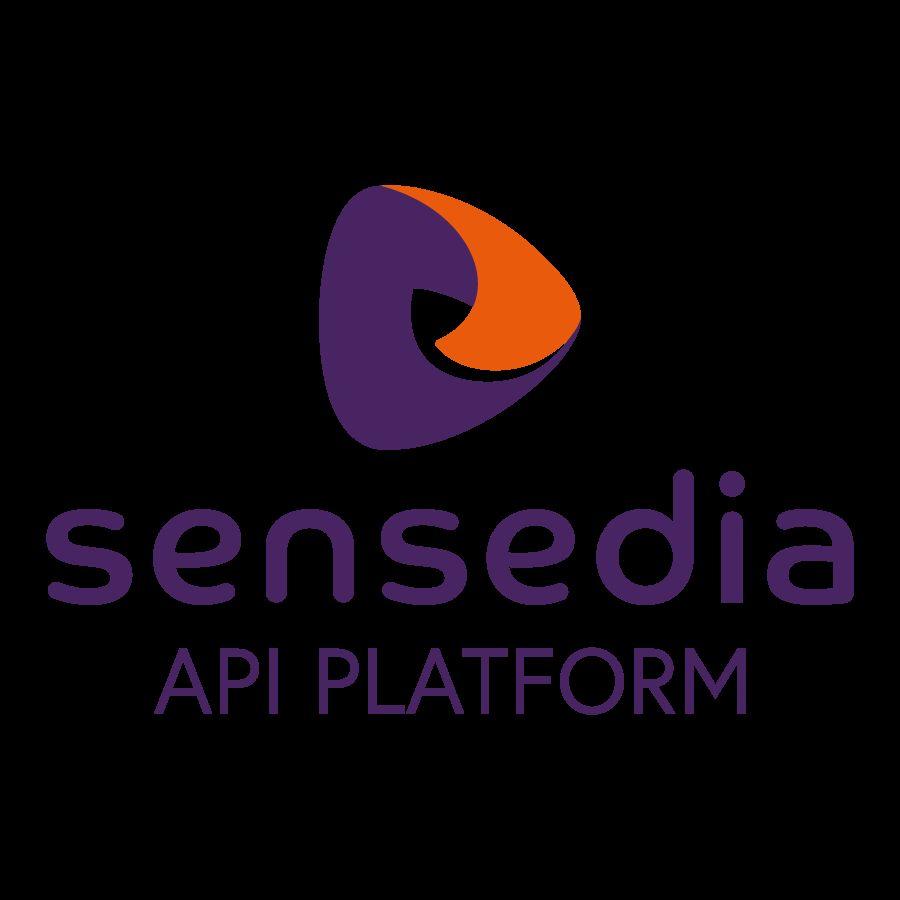 API Portal Dev