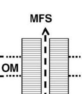Família MFS Major Facilitator Superfamily Procariotos e Eucariotos