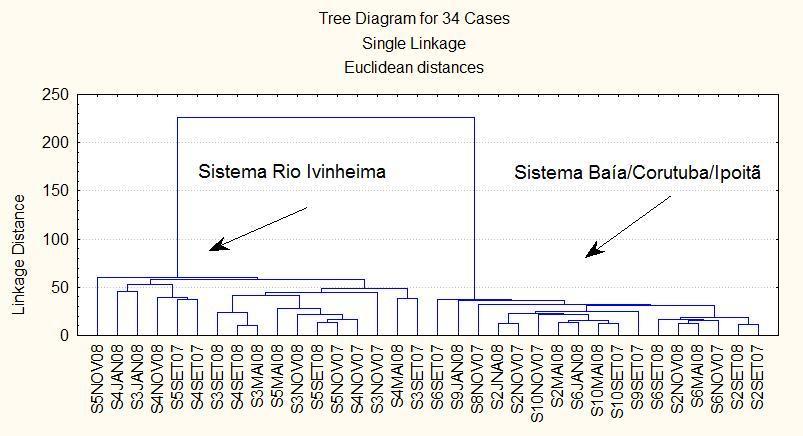 agrupamento, contudo analisado em separado devido às diferenças mais abruptas perante as demais seções. A B Figura 3. Análise de agrupamento entre as seções de estudos A.