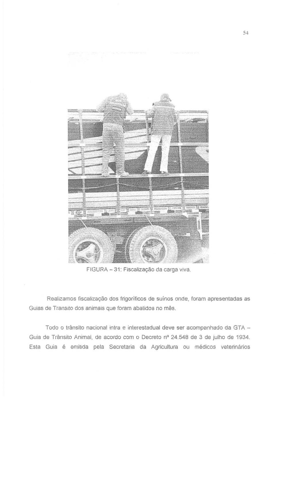 54 FIGURA - 31: Fiscalização da carga viva. Realizamos fiscalização dos frigoríficos de suínos onde, foram apresentadas as Guias de TransIto dos animais que foram abatidos no mês.