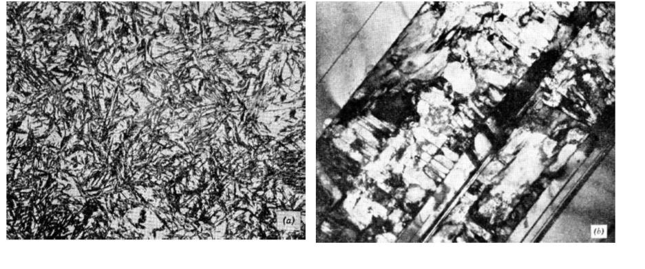 M s = temperatura de início da transformação martensítica Austenita se transforma em Martensita M s depende do tamanho de grão T.G.