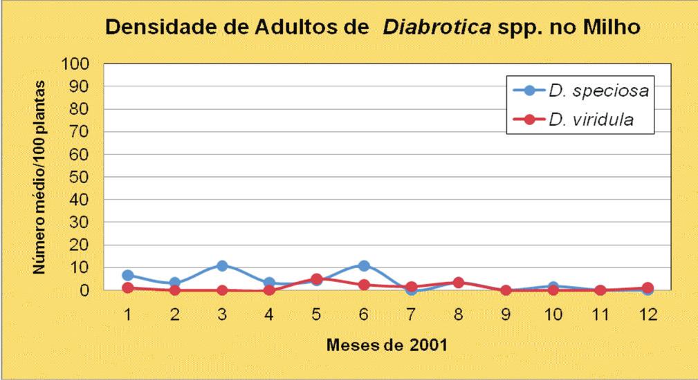 2 Ocorrência de espécies de Diabrotica em milho no Brasil: qual a predominante, Diabrotica speciosa ou Diabrotica viridula? a diversidade do gênero Diabrotica.