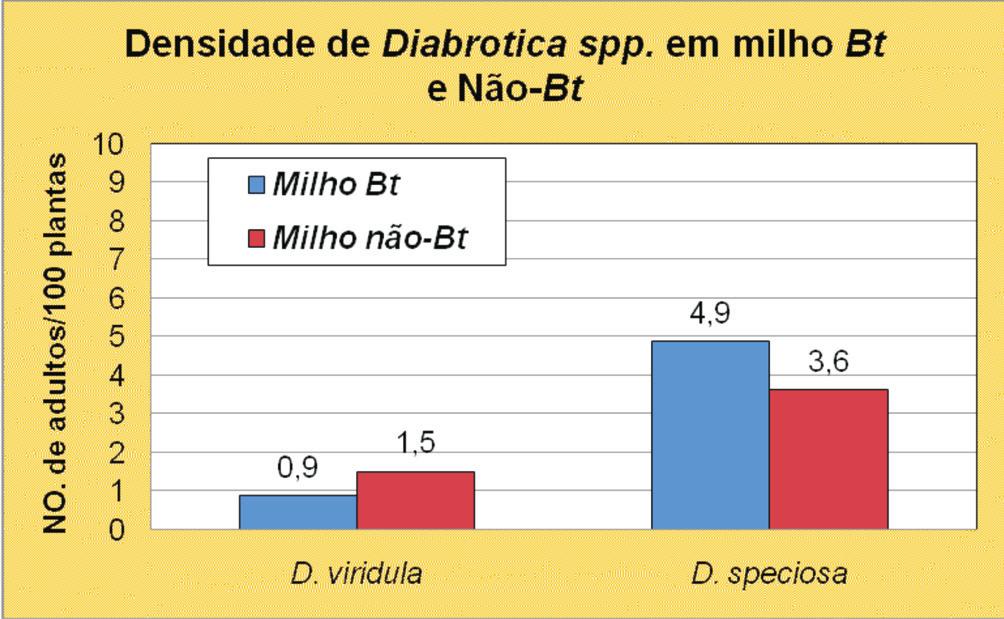 4 Ocorrência de espécies de Diabrotica em milho no Brasil: qual a predominante, Diabrotica speciosa ou Diabrotica viridula?