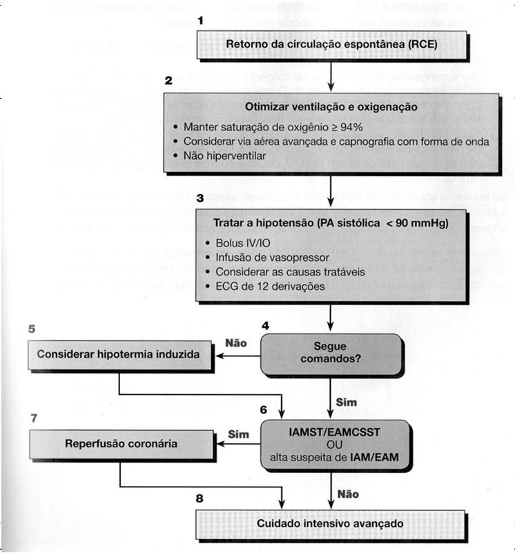 RCE Cuidados pós-pcr ou PAM < 65mmHg 32ºC a 36ºC no mínimo por 24 horas Comatosos sem resposta sensata a comandos verbais Asfixia em adultos e crianças Conhecida como engasgo Obstrução da via aérea