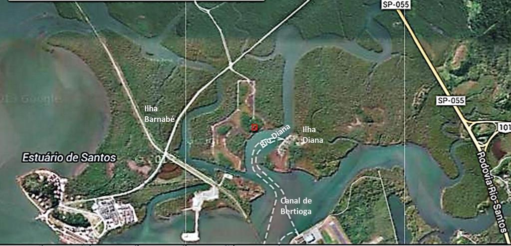 Figura 01: Estuário de Santos: O quadrodo vermelho indica a localização da área de estudo, adjacente ao Rio Diana (23 54'50.43" S e 46 18'40.90" W).