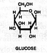 Potencial de conversão do Bagaço em etanol Kg Kg litros hidrolise fermentação celulose 200 glicose 209 etanol 123