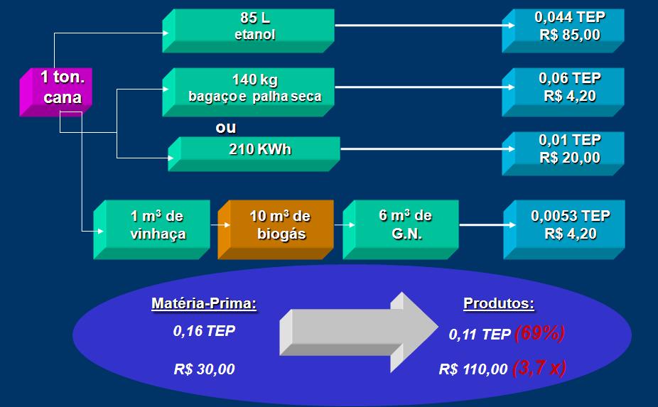 Rota de