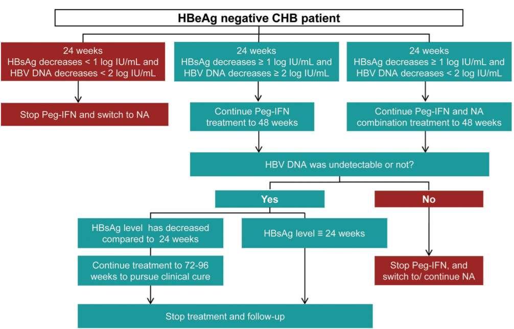 Novo consenso do PegIFN α no tratamento da hepatite B crônica HBeAg-negativo