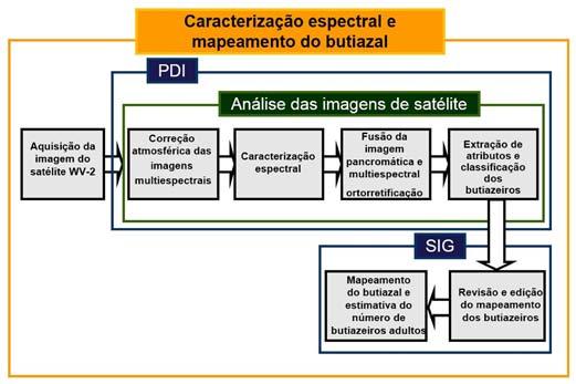 Caracterização e Discriminação Espectral de Butiazeiros (Butia odorata, Arecaceae) 3 A imagem WV-2 foi submetida à correção atmosférica, para geração do gráfico de caracterização espectral.