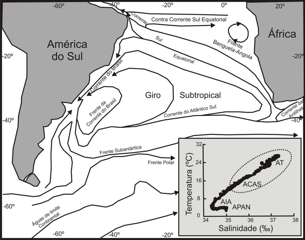 9 Figura 2. Principais correntes oceânicas do Atlântico Sul (Modif. de Peterson & Stramma, 1991).