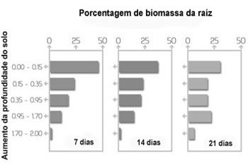 Distribuição contínua Distribuição em rotação