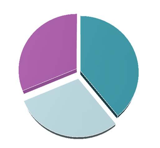 Histórico Informação não está disponível 31% Gaps identificados Atende o esocial 39% Processos impactados Em média entre 150 e 250 processos (empresa de grande