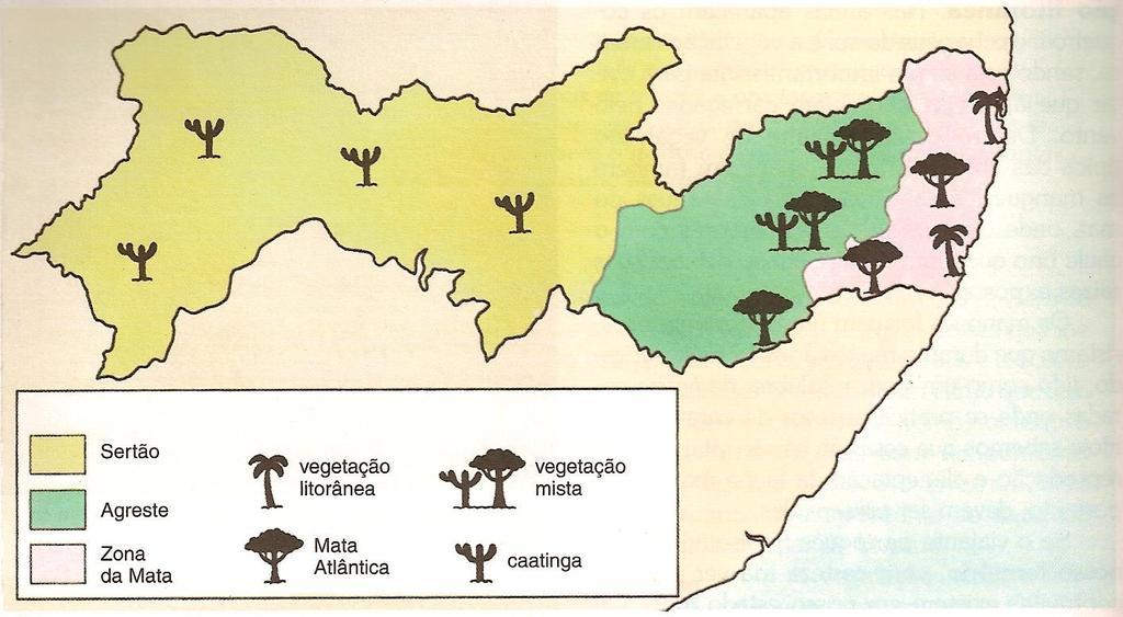 FORMAÇÕES VEGETAIS DE PERNAMBUCO NO SERTÃO = Domínio da caatinga em solos rasos e pedregosos com inselbergues NO AGRESTE = Matas tropicais mistas (nos brejos) e