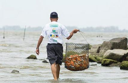 2.800 km de litoral Monitoramento do desembarque de pescado