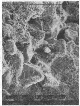 (1981), estudando areias naturalmente e artificialmente cimentadas, também relata que o aumento na massa específica aparente seca da areia aumentou a efetividade de uma dada quantidade de agente