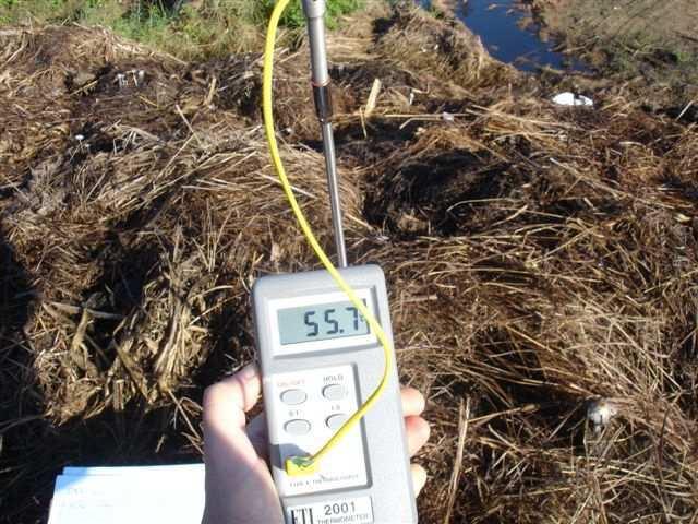 Compostagem - Curso Prático e Teórico 3 A TEMPERATURA acima de 55 C (Figura 4) elimina ovos e larvas de moscas, bem como patógenos (doenças). Foto: Caio de Teves Inácio Figura 4.