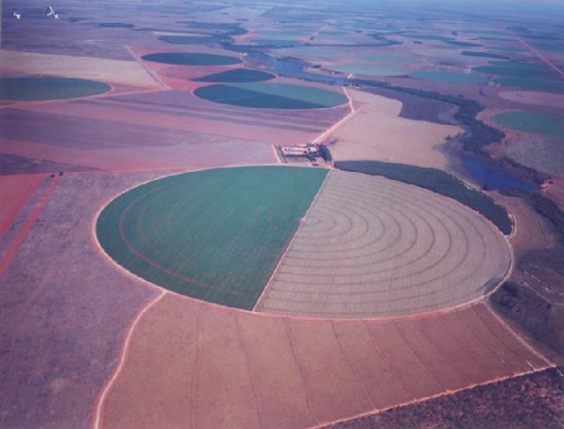 Uso do Cerrado Área Total: Terra