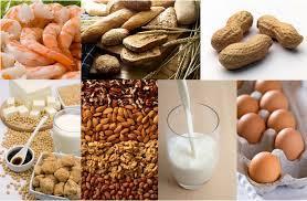Alergia alimentar Respostas Th2 contra proteínas alimentares IgE