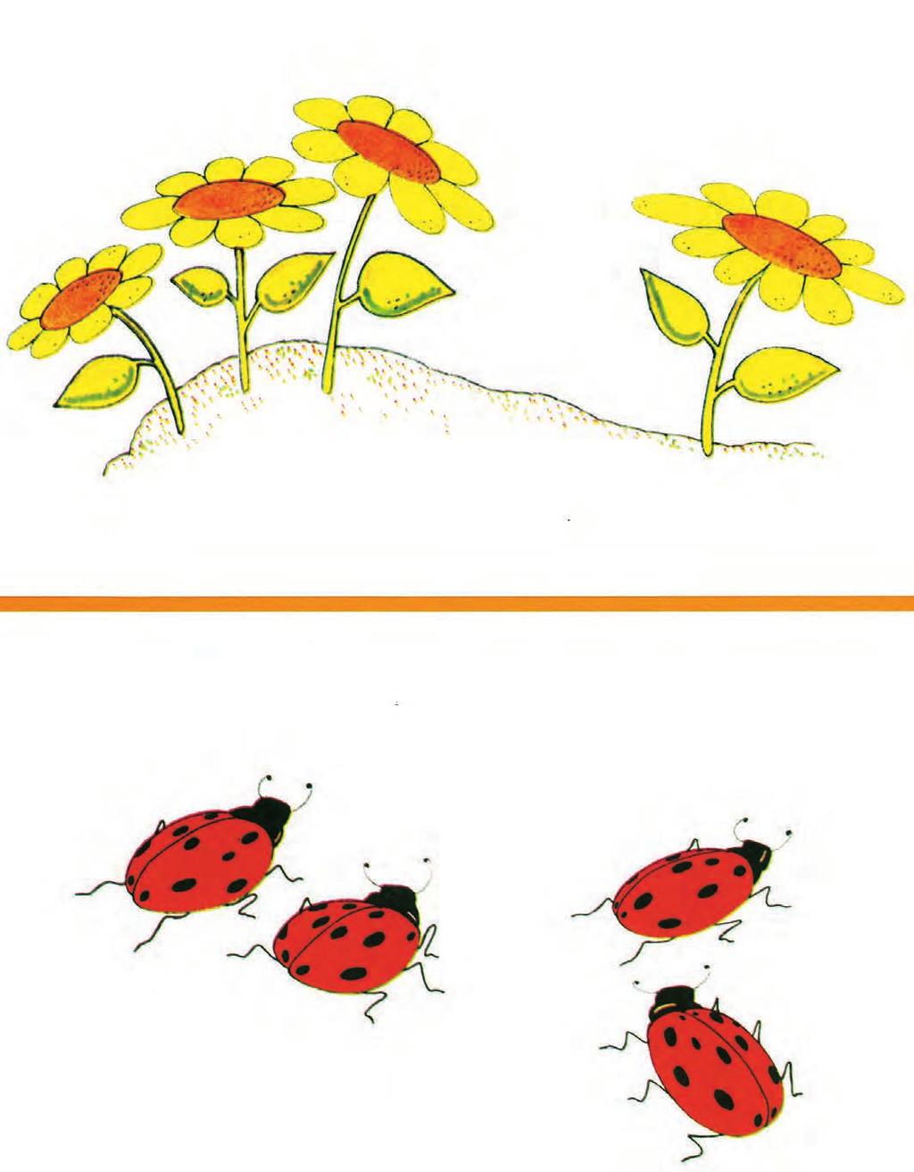 PROBLEMAS ILUSTRADOS Quantas flores estão