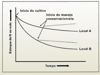 ser considerada!